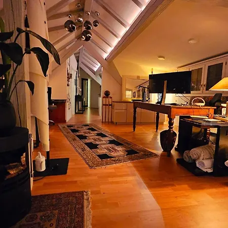 Executive In Pedestrian Area Appartement Zürich