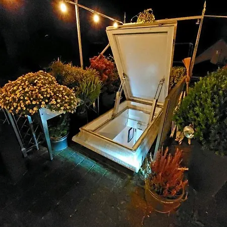 Executive In Pedestrian Area *