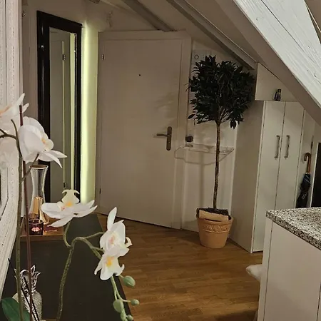 Executive In Pedestrian Area Appartement